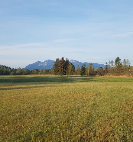 Die Route bestimmst Du allein.