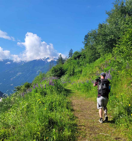 Der Alpe Adria Trail führt über 750 Kilometer vom Großglockner bis zum Mittelmeer ...